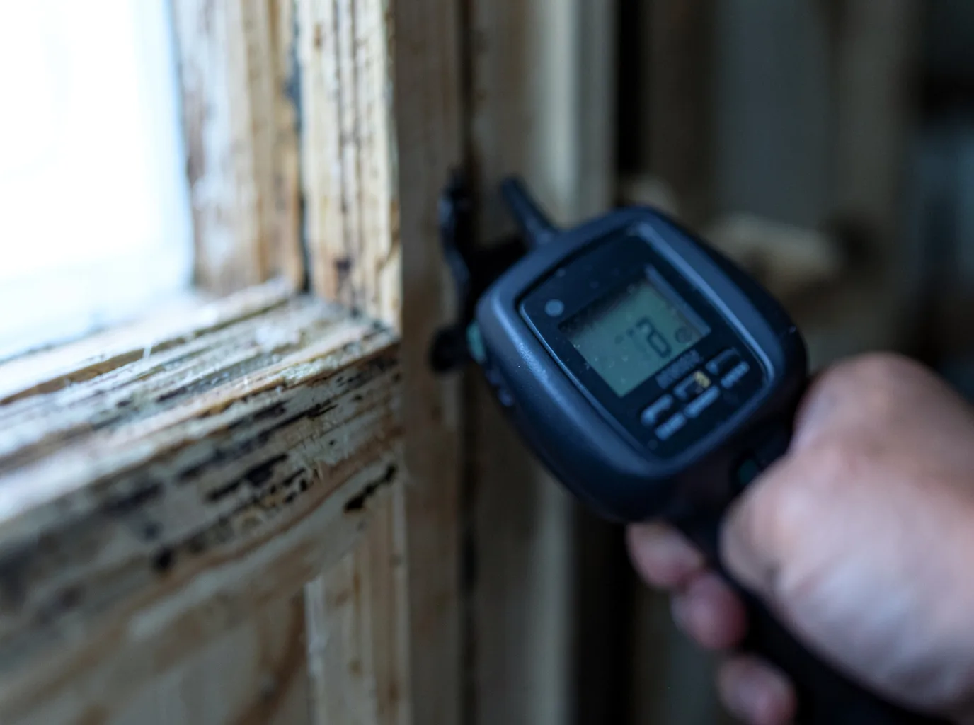 Commercial Water Damage Restoration in Fall Branch, TN